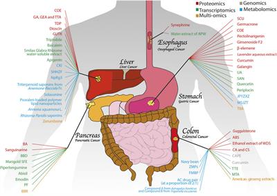 OMICS Applications for Medicinal Plants in Gastrointestinal Cancers: Current Advancements and Future Perspectives